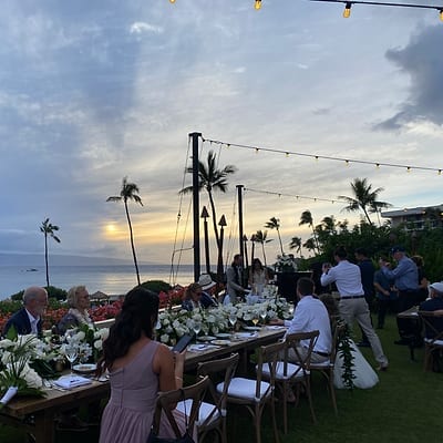Guests cheering during a wedding toast